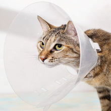 Cargar imagen en el visor de la galería, Collar Isabelino Buster