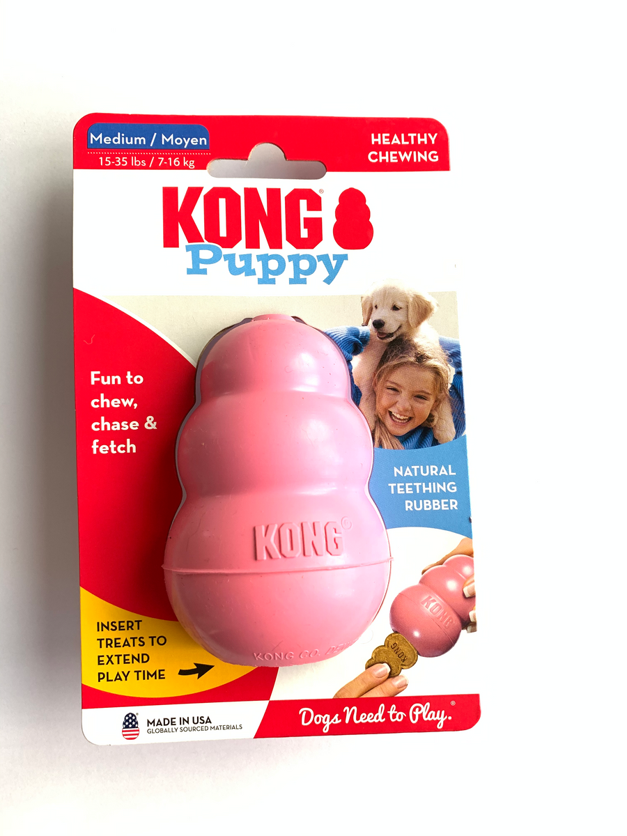 Kong Puppy