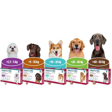 Cargar imagen en el visor de la galería, Simparica TRIO 1 Comprimido (sarolaner, moxidectina y pirantel)