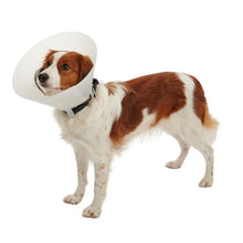 Cargar imagen en el visor de la galería, Collar Isabelino Buster