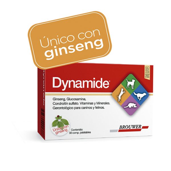 Dynamide 30comp