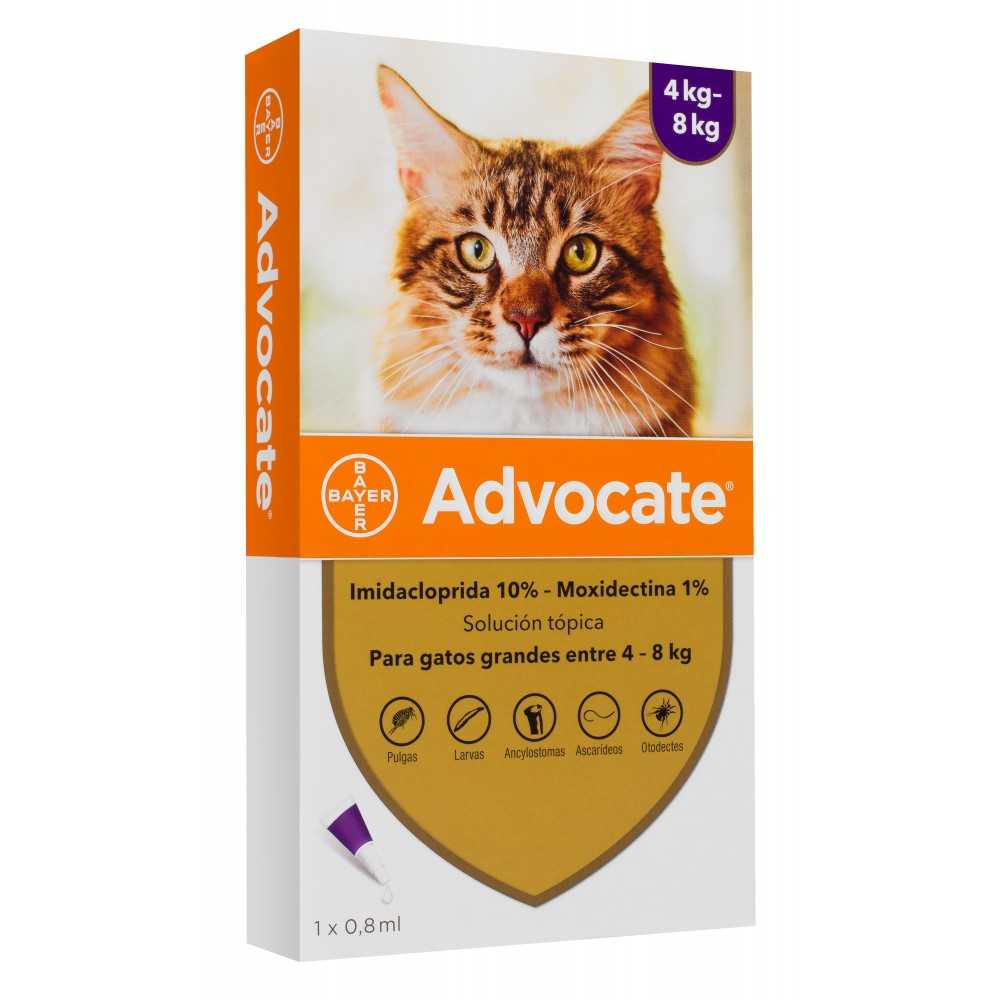 Advocate gatos