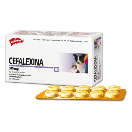 Cefalexina 500mg (Cefalexina)
